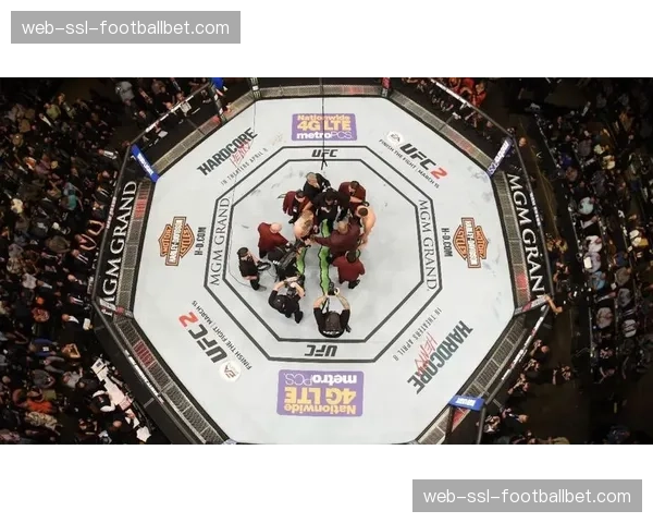 纪录片《八角笼40年》在翠贝卡电影节首映，聚焦UFC早期岁月